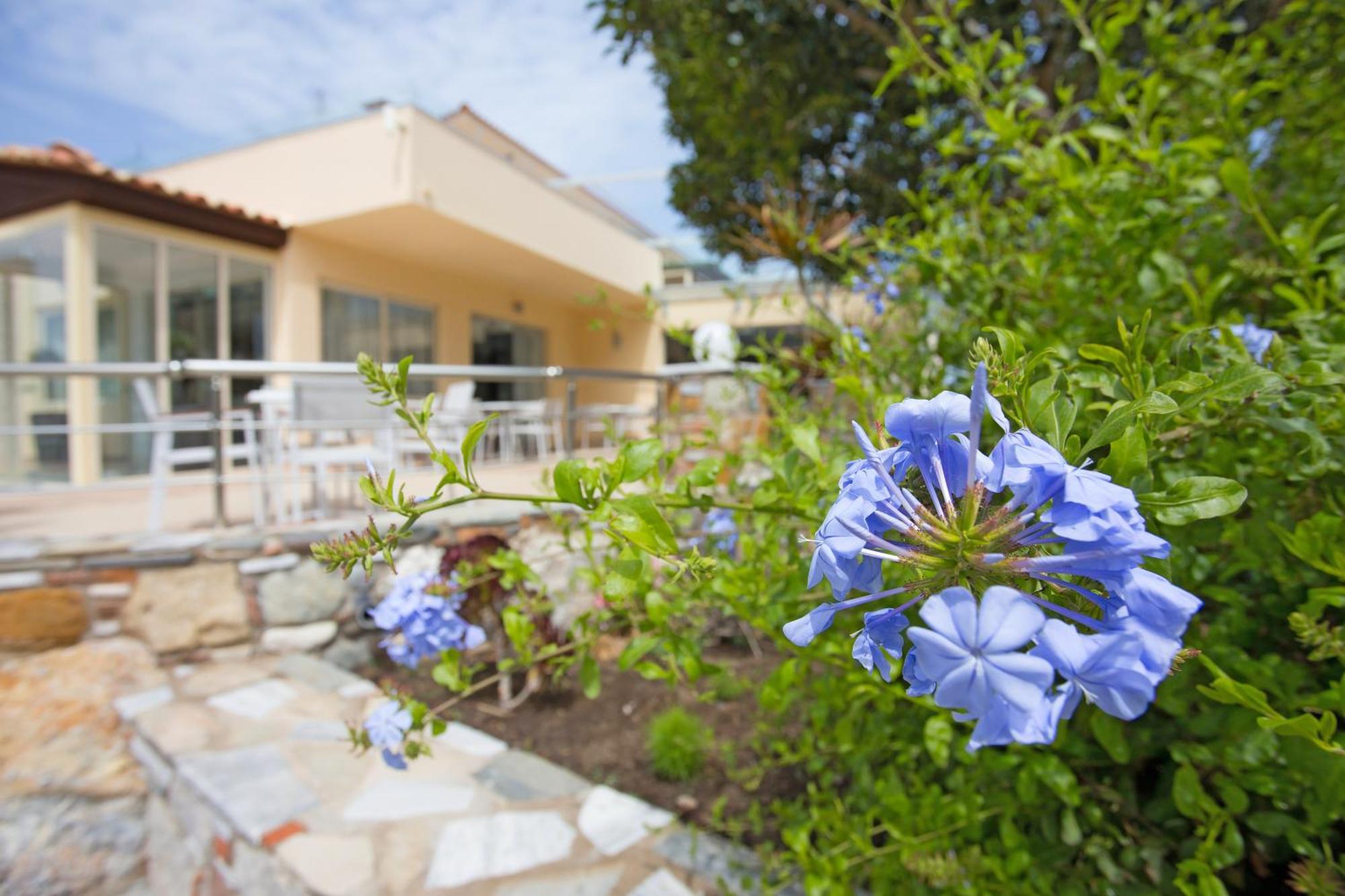 Achilleas Beach Hotel Adults Only Mastihari Exterior photo